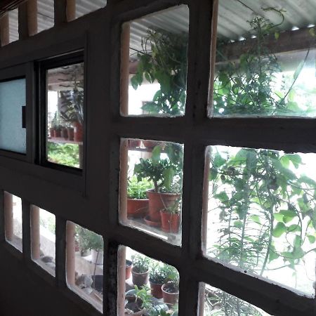 Hostel La Cruz Del Sur La Paloma Zewnętrze zdjęcie