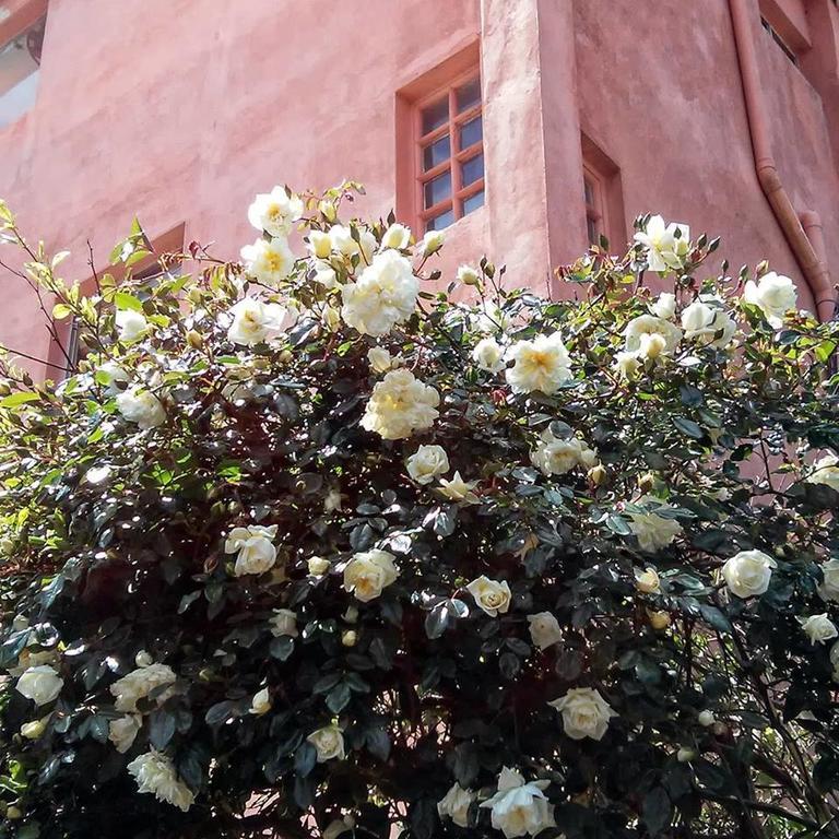 Hostel La Cruz Del Sur La Paloma Zewnętrze zdjęcie