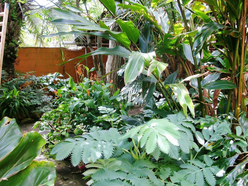 Hostel La Cruz Del Sur La Paloma Zewnętrze zdjęcie