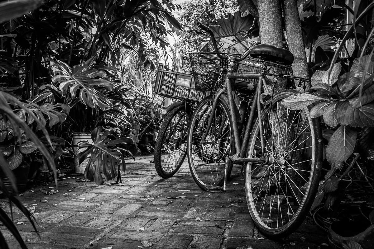 Hostel La Cruz Del Sur La Paloma Zewnętrze zdjęcie