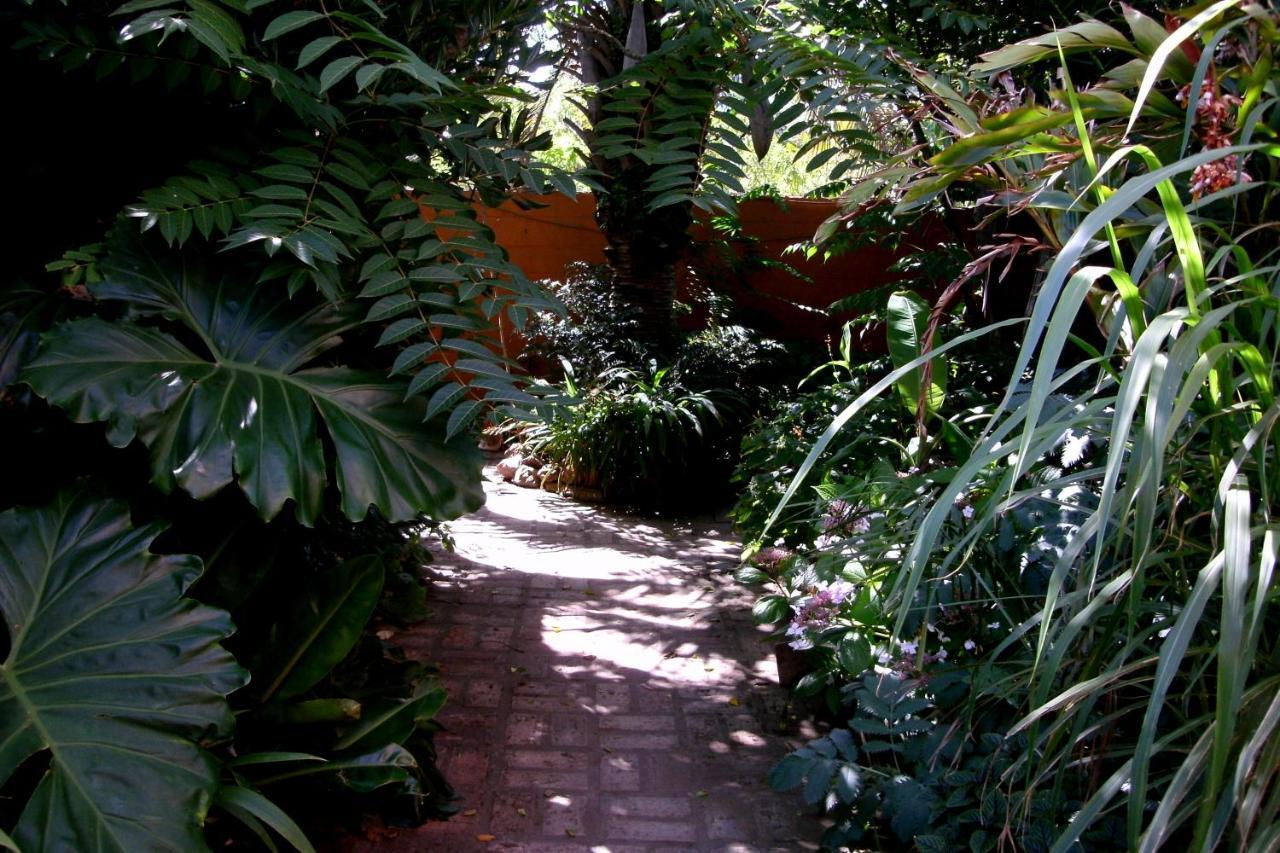 Hostel La Cruz Del Sur La Paloma Zewnętrze zdjęcie